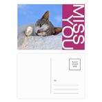 DIYthinker Kitty Cat Pet Relax Sleep Animal Sevimli Miss Kartpostal Seti Teşekkür Kartı Gönderi Tarafı 20 adet