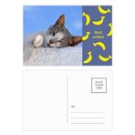 DIYthinker Kitty Cat Pet Relax Sleep Animal Sevimli Muz Kartpostal Seti Teşekkür Kartı Gönderi Tarafı 20 adet
