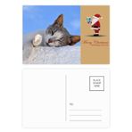 DIYthinker Kitty Cat Pet Relax Sleep Animal Sevimli Noel Baba Kartpostal Seti Teşekkür Kartı Gönderi 20 adet