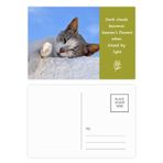 DIYthinker Kitty Cat Pet Relax Sleep Animal Sevimli Şiir Kartpostal Seti Teşekkür Kartı Gönderi Tarafı 20 adet