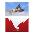 DIYthinker Kitty Cat Pet Relax Sleep Animal Sevimli Tatil Mutlu Noeller Kartı Noel Vintage Mesaj