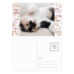DIYthinker Kitty Cat Stripes Relax Sleep Animal Formula Kartpostal Seti Teşekkür Kartı Gönderi Tarafı 20 adet