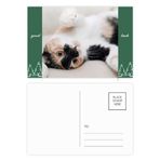 DIYthinker Kitty Cat Stripes Relax Sleep Animal İyi Şanslar Kartpostal Seti Kart Gönderi Tarafı 20 adet