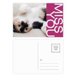 DIYthinker Kitty Cat Stripes Relax Sleep Animal Miss Kartpostal Seti Teşekkür Kartı Gönderi Tarafı 20 adet