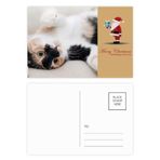 DIYthinker Kitty Cat Stripes Relax Sleep Animal Noel Baba Kartpostal Seti Teşekkür Kartı Gönderi 20 adet