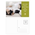 DIYthinker Kitty Cat Stripes Relax Sleep Animal Şiir Kartpostal Seti Teşekkür Kartı Gönderi Tarafı 20 adet