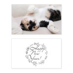 DIYthinker Kitty Cat Stripes Relax Sleep Animal Yeni Yıl Kartı Anma Kutusuz Mesaj