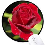 Dıythinker Koyu Kırmızı Güller Çiçekler Yuvarlak Kaymaz Mouse Pad