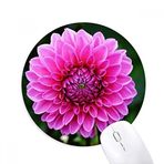 Dıythinker Pembe Büyük Çiçekler Güzel Yeşil Yapraklar Baskılı Yuvarlak Kaymaz Kauçuk Mouse Pad
