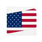 DIYthinker Pennsylvania Amerika Haritası Yıldızlar Çizgili Bayrak Kaymaz Zemin Evcil Hayvan Mat Kare Banyo Oturma Odası Mutfak Kapı 60/50 cm Hediye Çok Renkli