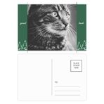 DIYthinker Siyah Beyaz Kedi Profili Vahşi Hayvan İyi Şanslar Kartpostal Seti Kart Gönderi Tarafı 20 adet