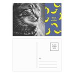 DIYthinker Siyah Beyaz Kedi Profili Vahşi Hayvan Muz Kartpostal Seti Teşekkür Kartı Gönderi Tarafı 20 adet