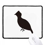 Dıythinker Siyah Black Grouse Hayvan Portrayal Kaymaz Fare Altlığı