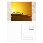 DIYthinker Sunset All The Way to The Silk Road Deve Çöl Çiçek Kartpostal Seti Teşekkür Kartı Gönderi Tarafı 20 adet 14,5 cm x 9,7 cm Çok Renkli