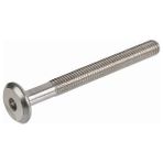 Dizaynaks Alyan Başlı Silindir Vida M6*60 mm