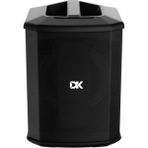 DK Technology IC-150 Akustik Gitar Amfisi