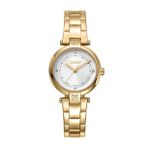 DKNY DK1L043M0055 Kadın Kol Saati