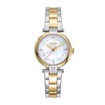 DKNY DK1L043M0075 Kadın Kol Saati