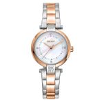 DKNY DK1L043M0095 Kadın Kol Saati