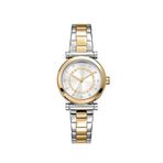 Dkny Dk1l090m0085 Rengi Metalik Gri Çelik Kadın Kol Saati - Altın