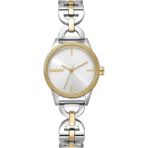 Dkny DK1L113M0265 Kadın Kol Saati - Altın - Metalik Gri