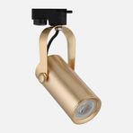 Dlc NR329 Eskitme Altın Tekli Sıva Üstü Ray Spot