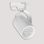 Dlc Ray Serisi NR310-1 50 W Ledli GU10 Duy 1 Adet Beyaz Yuvarlak Ray Spot