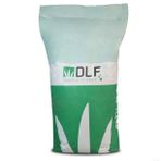Dlf 250 gr Dichondra Repens Fare Kulağı Gölge Alanlar Tohumu