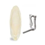 Dmc Petstore 11*12Cm Kalamar Kemiği Ve Tutacağı 1 Adet