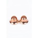 DMT COPPER HOME BAKIR TUZLUK-BAHARATLIK TAKIMI BAKIR RENK (2 ADET) 40 Gr