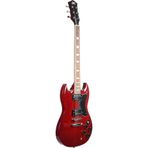 Dmx Guitars GSG100 Elektro Gitar
