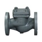 DN25 PN16 Pik Döküm Flanşlı Yaylı Çekvalf