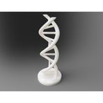 DNA Sarmalı Obje 18CM
