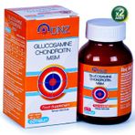 DNZ Glucosamine Chondroitin MSM 2x60 Tablet