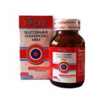 DNZ Glucosamine Chondroitin MSM 2x90 Tablet
