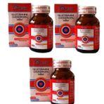 DNZ Glucosamine Chondroitin MSM 3x90 Tablet