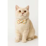 DodoJoy Kedi Tasması, 3'ü 1 Arada Kedi Tasması Set , Papyon Ve Kurdele Tasarımlı Kedi Tasmaları, Çiçek Desen