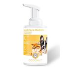 Dodonut Pure and Care Doğal Kedi ve Köpek için 350 ml Kuru Köpük Şampuan