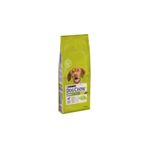 Dog Chow Kuzulu Yetişkin 14 kg Köpek Maması