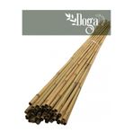 DOĞA FİDANCILIK 20 Adet Bambu Bitki Fidan Destek Çubuğu 1,5 Metre