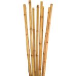 Doğa Fidancılık 30 Adet Bambu Bitki Fidan Destek Çubuğu 190 - 200 Cm - 1 Adet