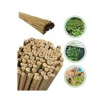 DOĞA FİDANCILIK 50 Adet Bambu Bitki Fidan Destek Çubuğu 1,5 Metre