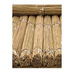 DOĞA FİDANCILIK 50 Adet Bambu Bitki Fidan Destek Çubuğu 190 - 200 Cm