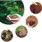 Doğa Garden 100 Lt Süper Organik Torf Çiçek Toprağı
