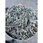 Doğa Nimeti Adaçayı 1 kg Organik ( Yeni Mahsül, Doğal Kurutulmuş, Elenmiş ) Ada Çayı