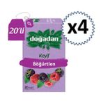 Doğadan Böğürtlen Meyve Çayı 20'li x 4 Adet Sağlıklı Yaşam Tercihi Bitki Çayı