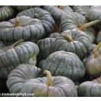 Doğal 5 Tohum Calabash Süs(Su) Kabağı Tohumu