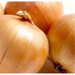Doğal 50 Tohum Erkenci Teksas Grano Soğan Tohumu