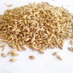 Doğal Arpa 5 Kg Tavuk Güvercin Kuş Kanatlı Yemi Yemlik Tane Arpa
