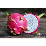 Doğal Beyaz Ejder Meyvesi (Pitaya) Tohumu (10 Tohum)